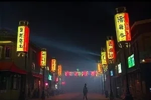 《候鸟时刻表》自然纪录封面，成群候鸟掠过湿地